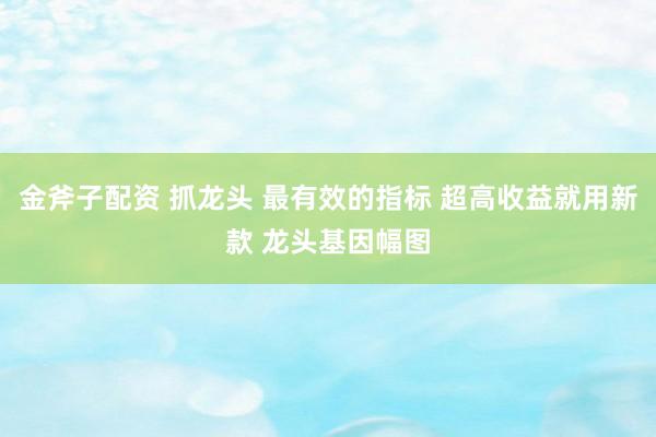 金斧子配资 抓龙头 最有效的指标 超高收益就用新款 龙头基因幅图