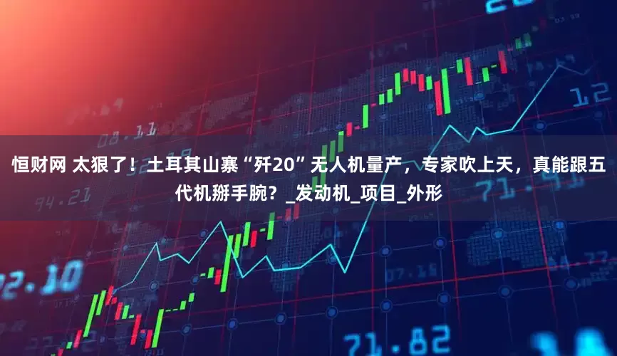 恒财网 太狠了！土耳其山寨“歼20”无人机量产，专家吹上天，真能跟五代机掰手腕？_发动机_项目_外形