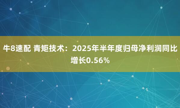 牛8速配 青矩技术：2025年半年度归母净利润同比增长0.56%